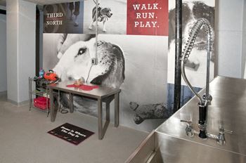 Pet wash center